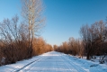 079_Biebrza - marzec 2013